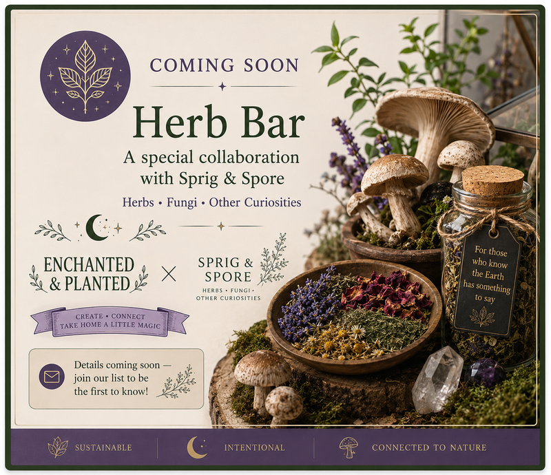 Promotional graphic for the Herb Bar collaboration with Sprig & Spore, featuring a mystical arrangement of dried herbs in a wooden bowl, mushrooms in a glass jar, crystals, and greenery on a cream background with purple and brown decorative text banners.