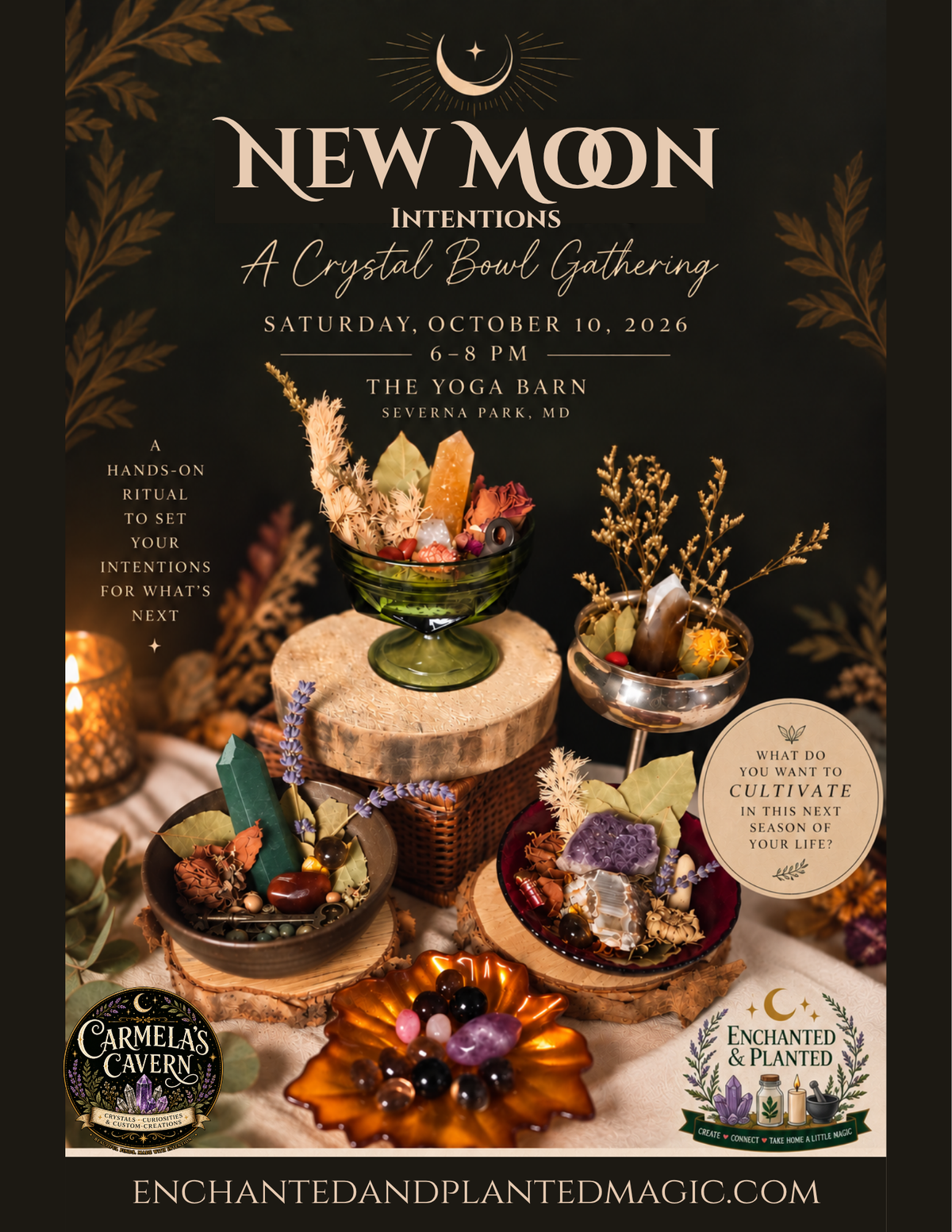 New Moon Intentions Crystal Bowl Gathering at The Yoga Barn in Severna Park, Maryland, October 10, 2026, featuring crystal intention bowls with crystals, botanicals and vintage vessels.